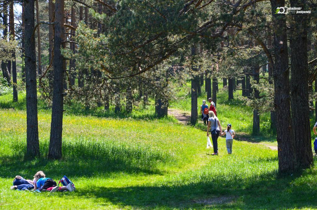 Apartments Josipovic Zlatibor Bagian luar foto